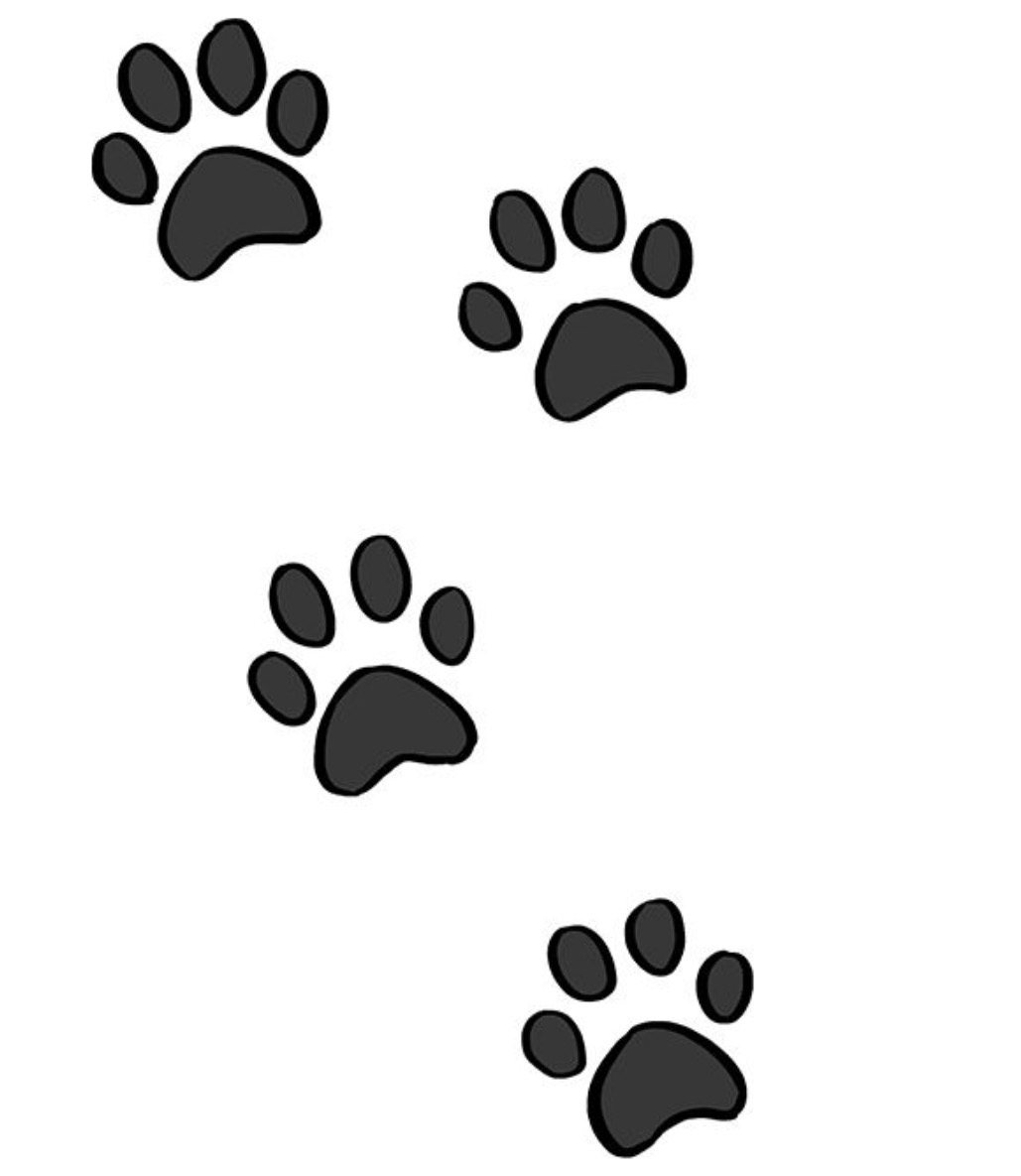 Cartoon paw prints