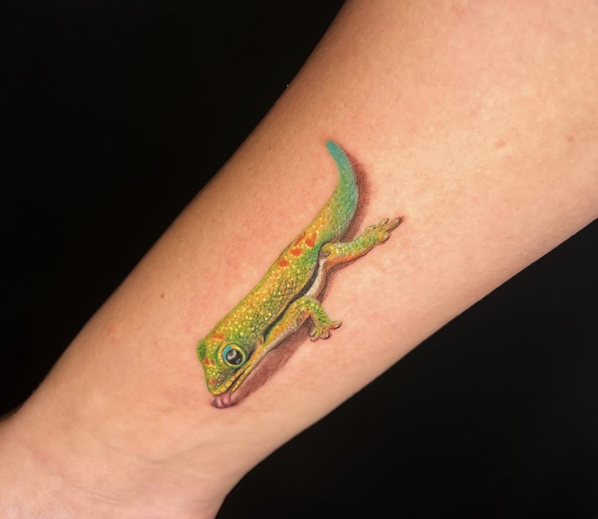 Day gecko, colour realism