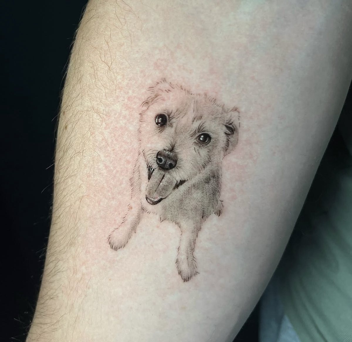 Fine-line dog portrait