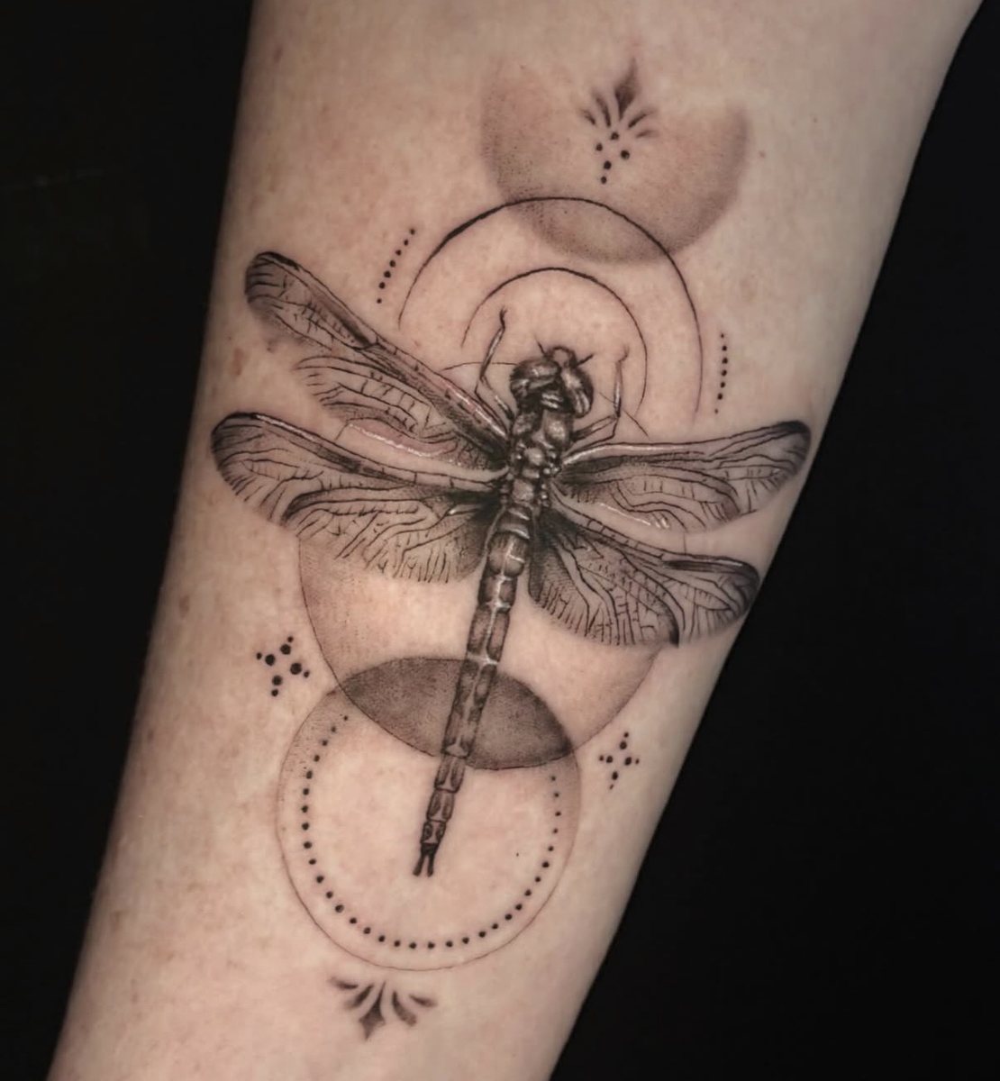 Fine-line dragonfly with geometric detail